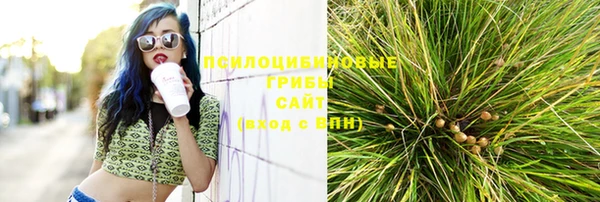 Альфа ПВП Нягань