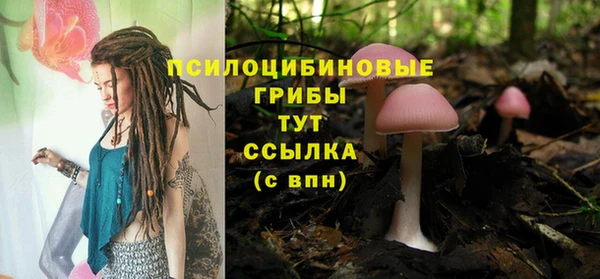 тгк Нязепетровск