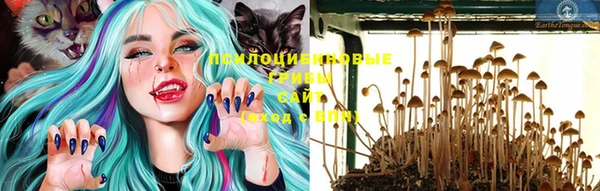 прущие крисы Няндома