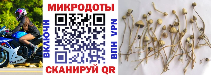 гидра зеркало Новое Девяткино Псилоцибиновые грибы Psilocybe закладки