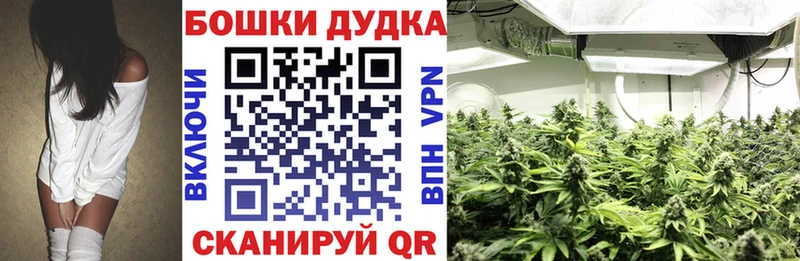 где купить Новое Девяткино Шишки марихуана ГИДРОПОН